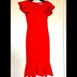 Brand new bodycon midi dress 💃